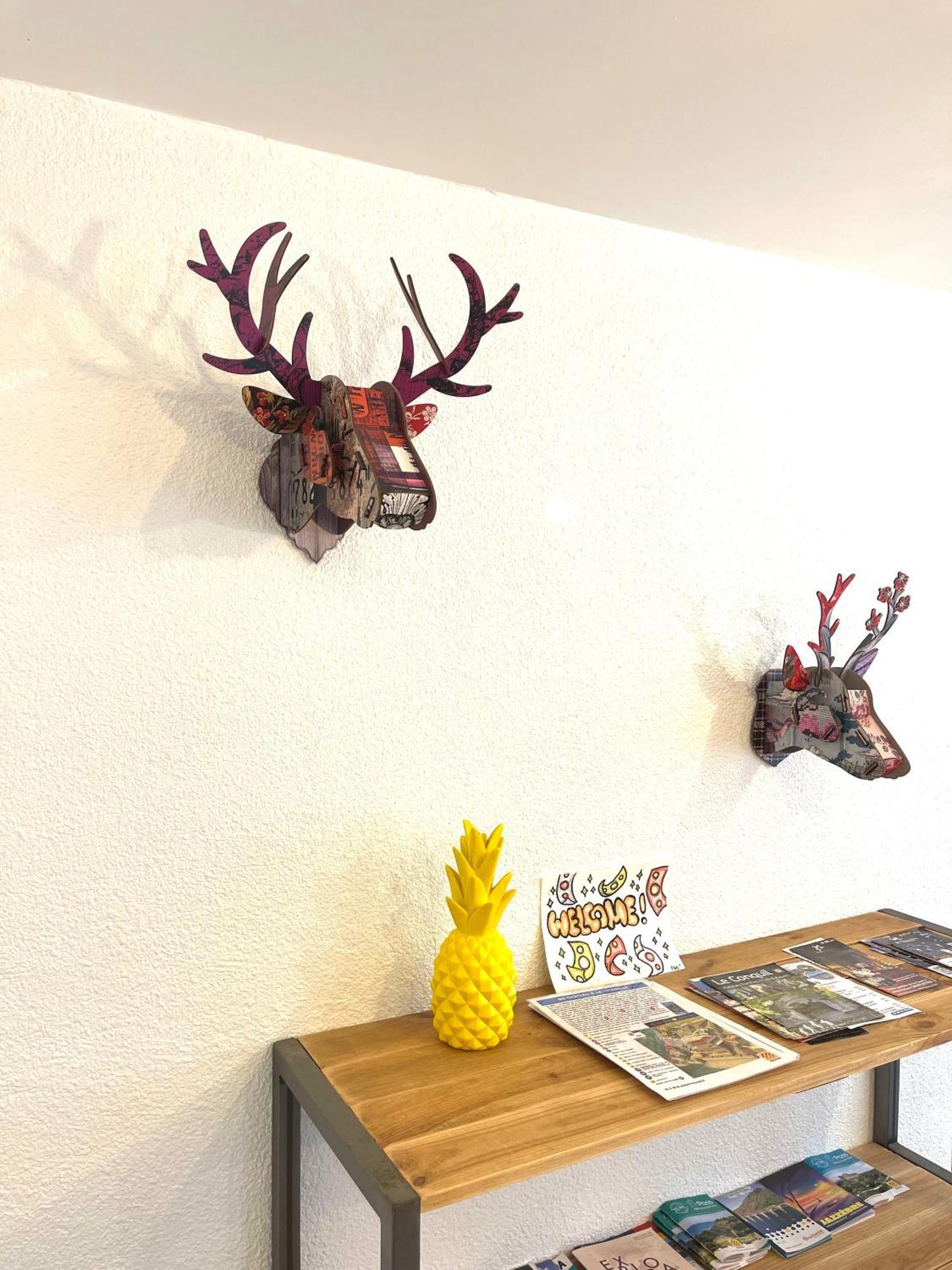 Appartement Dans Le Quartier Recherche Du Moure Collioure Luaran gambar